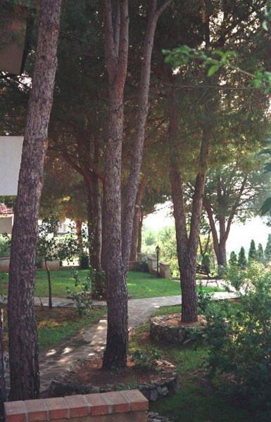 Villaggio Pineta Petto Bianco Capo Vaticano Luaran gambar