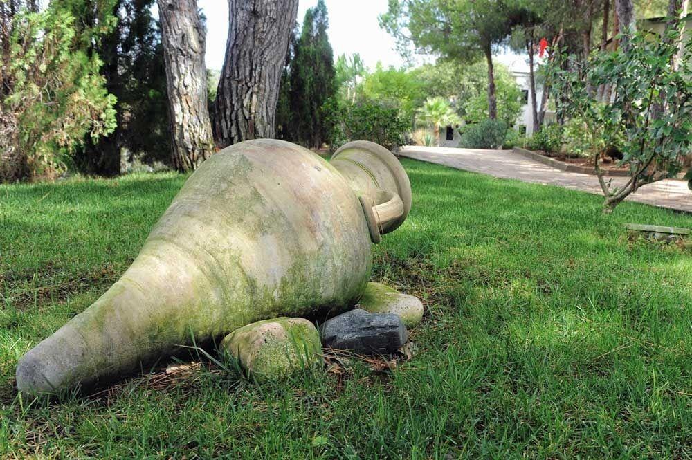 Villaggio Pineta Petto Bianco Capo Vaticano Luaran gambar