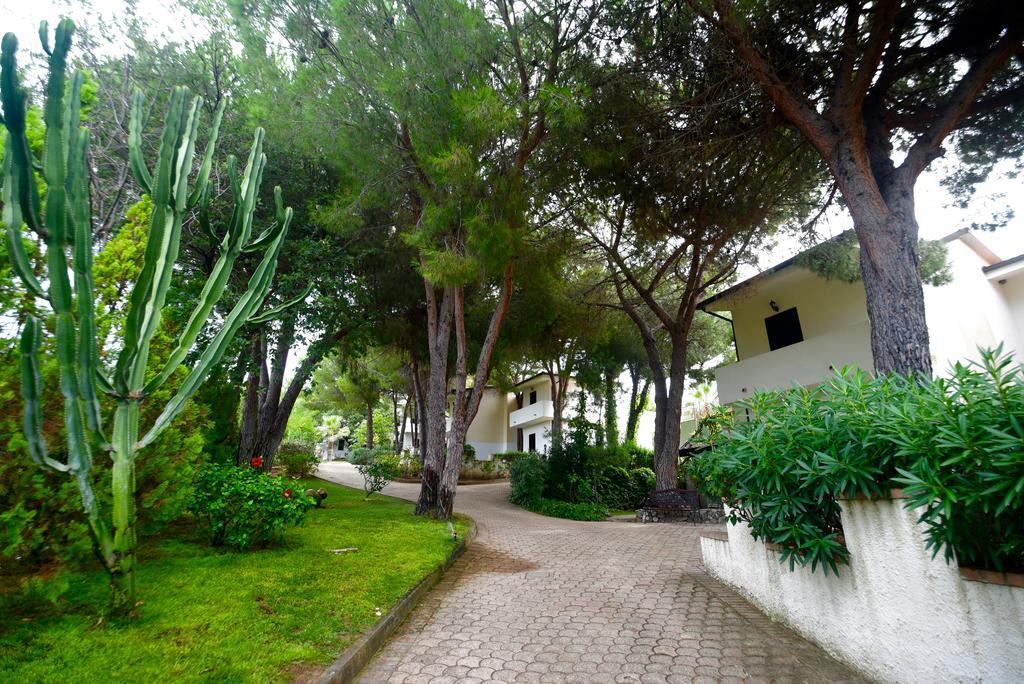 Villaggio Pineta Petto Bianco Capo Vaticano Luaran gambar