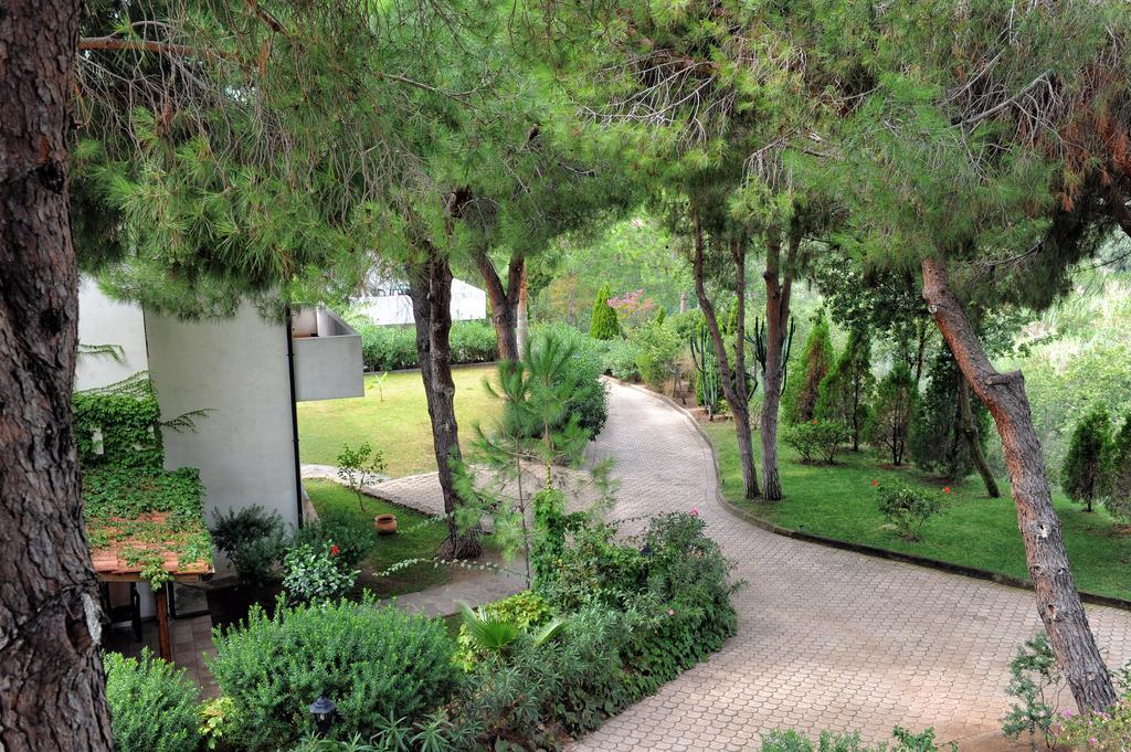 Villaggio Pineta Petto Bianco Capo Vaticano Luaran gambar